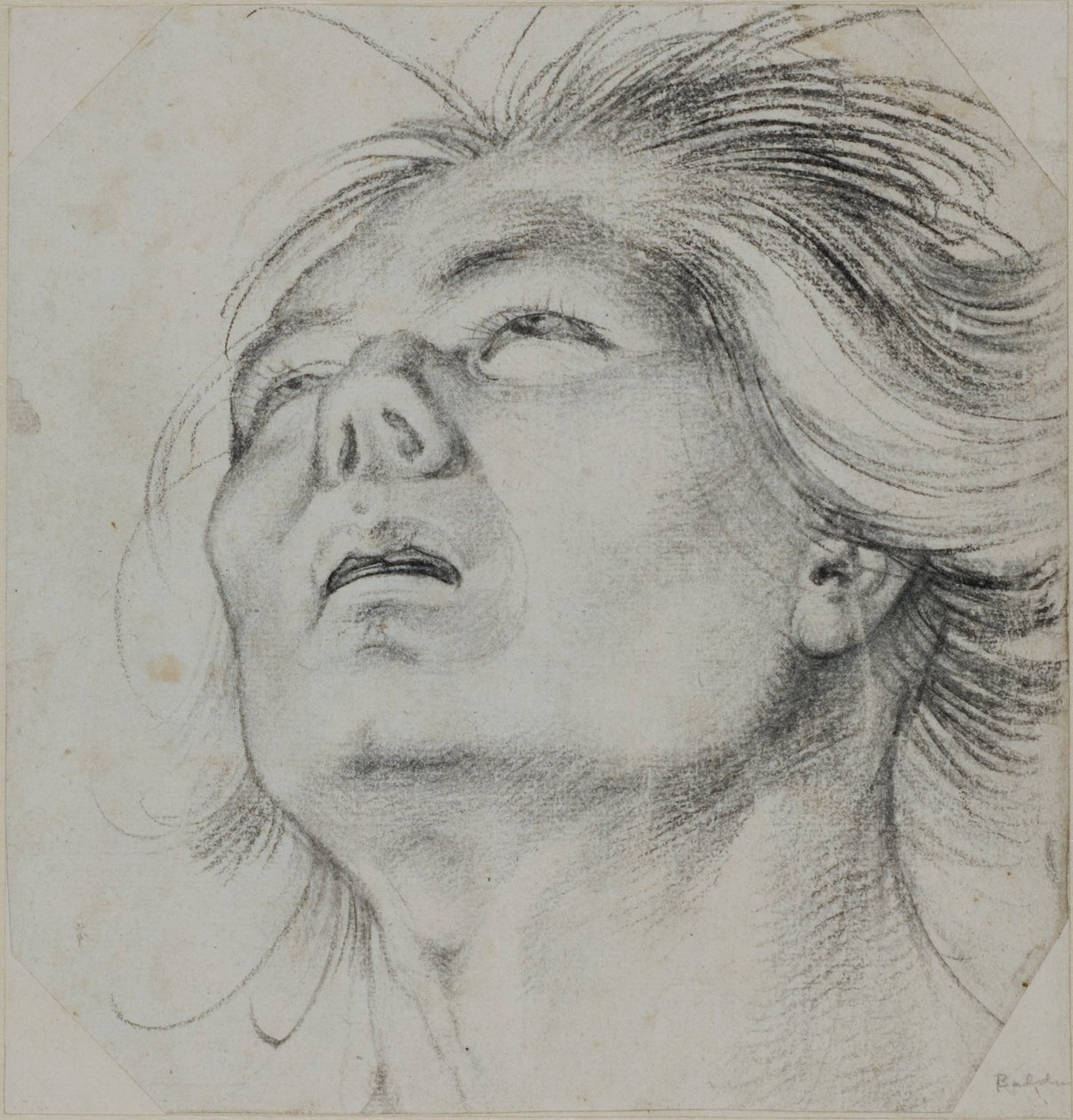 Kopf eines jungen Mannes, von unten gesehen von Hans Baldung Grien