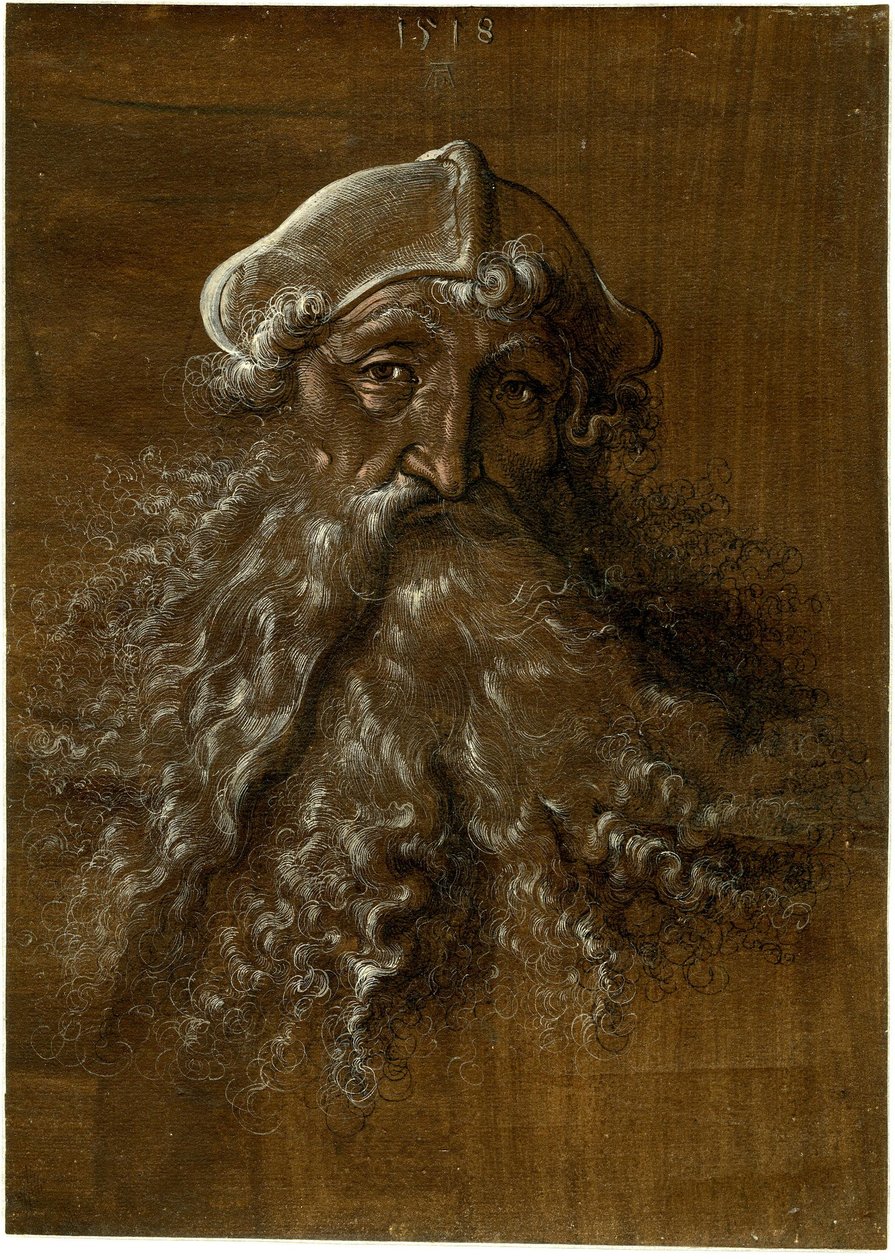 Kopf eines alten Mannes mit schwerem Bart von Hans Baldung Grien