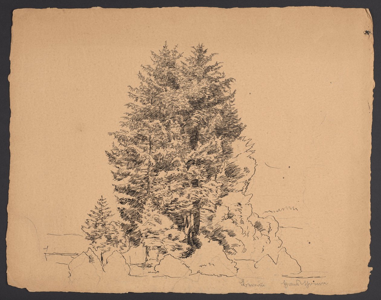 Bäume in Bernau von Hans Thoma