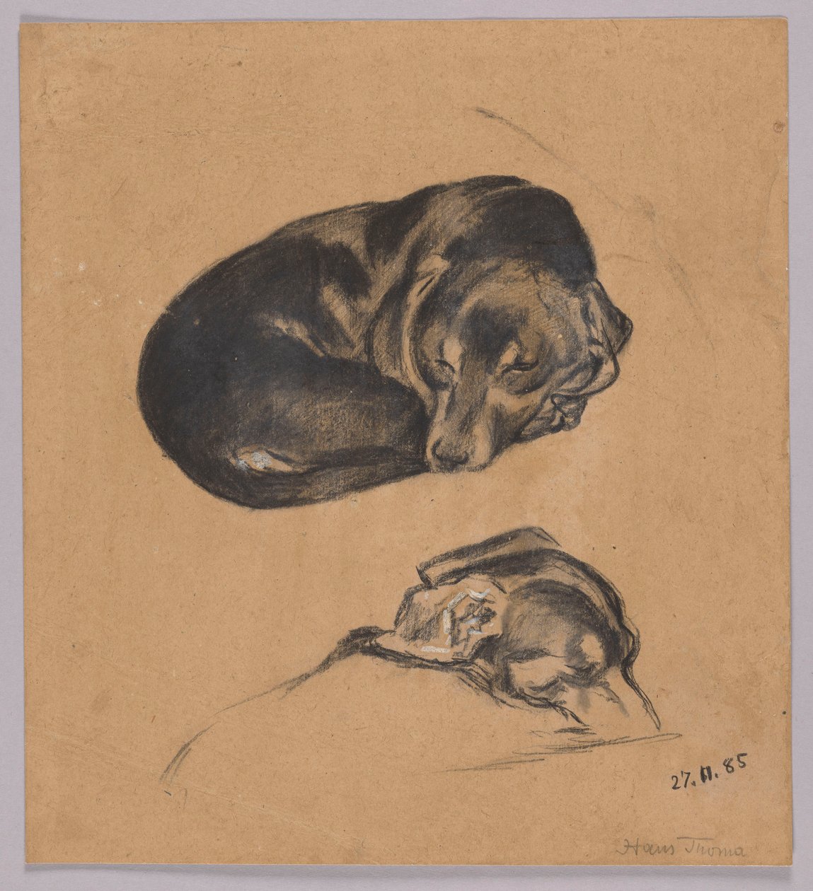 Zwei Studien eines schlafenden Dackels von Hans Thoma