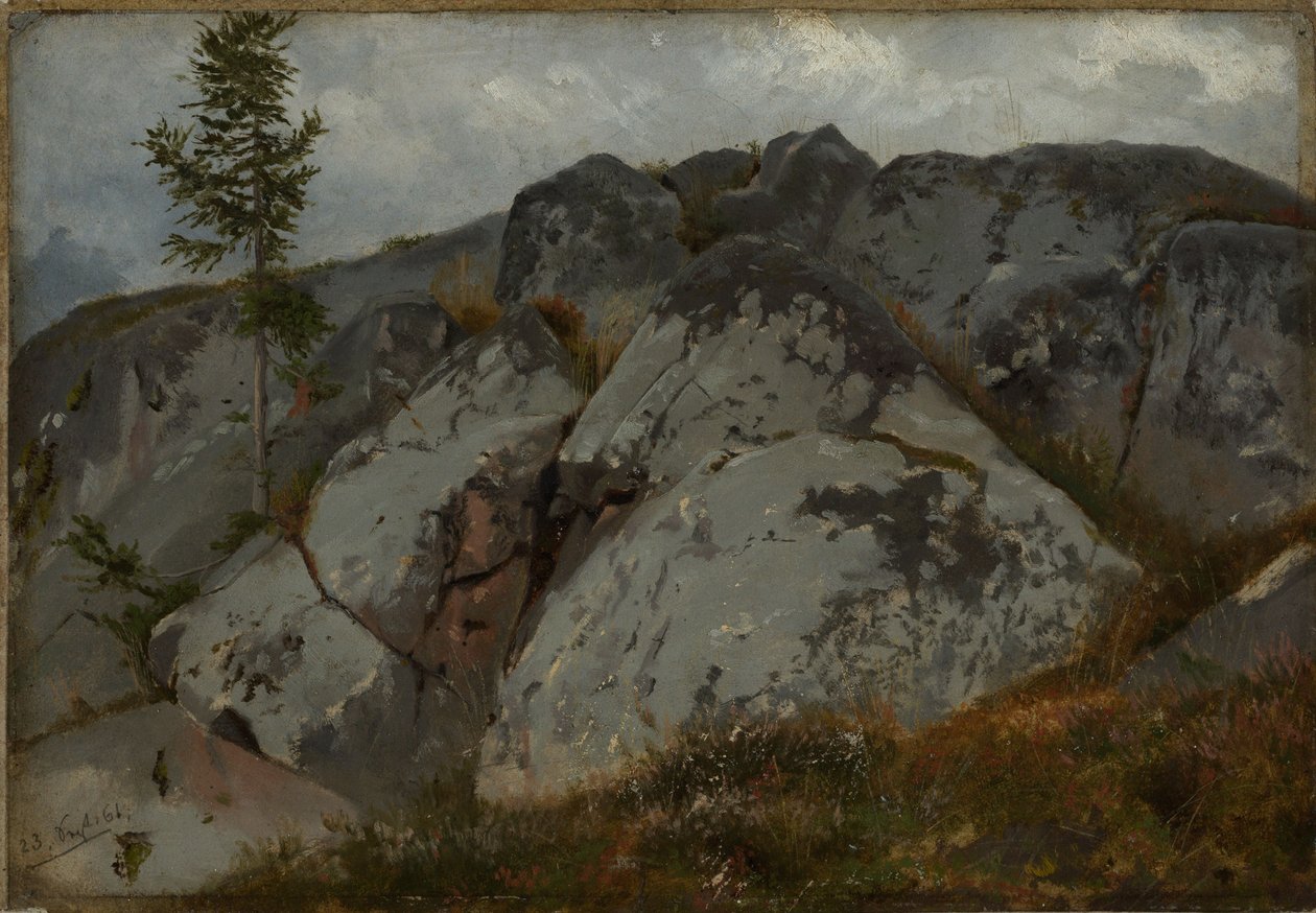 Felsblöcke mit Tännchen von Hans Thoma