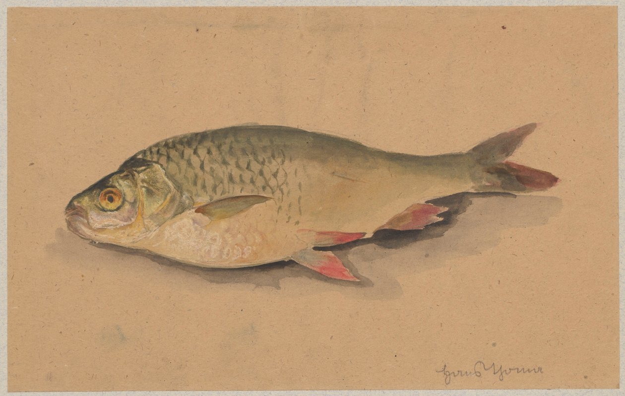 Ryba von Hans Thoma