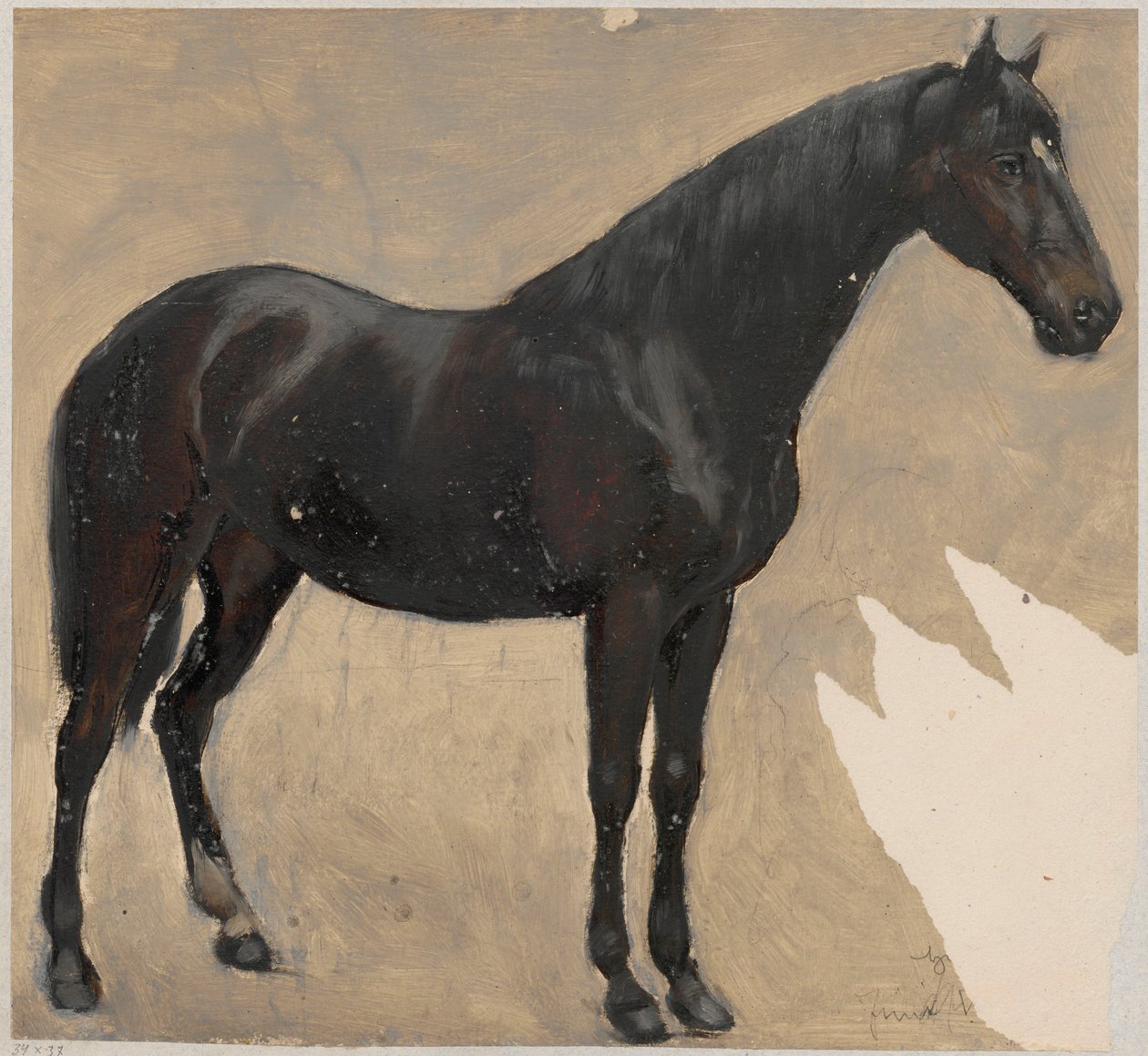 Studium konia von Hans Thoma