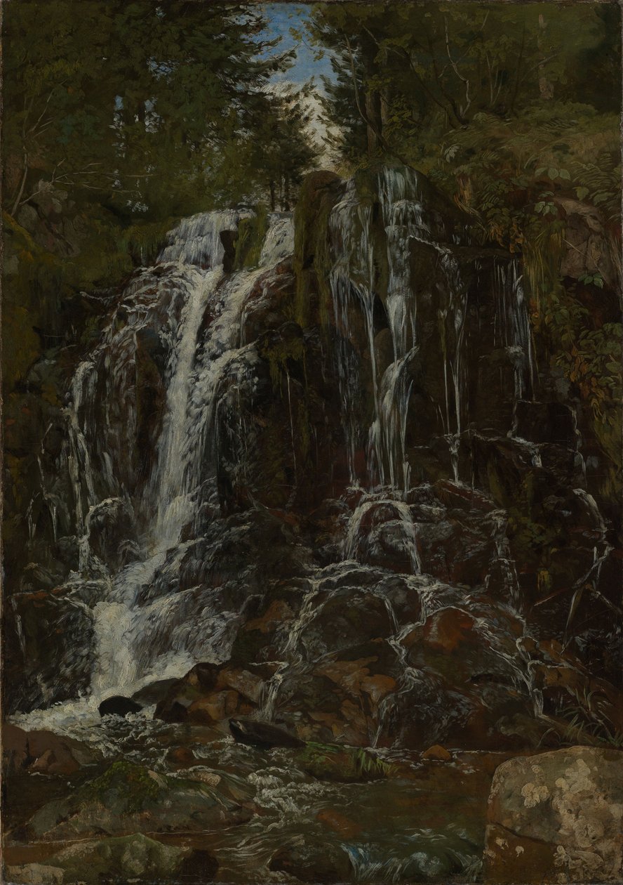 Wasserfall bei St.Blasien von Hans Thoma