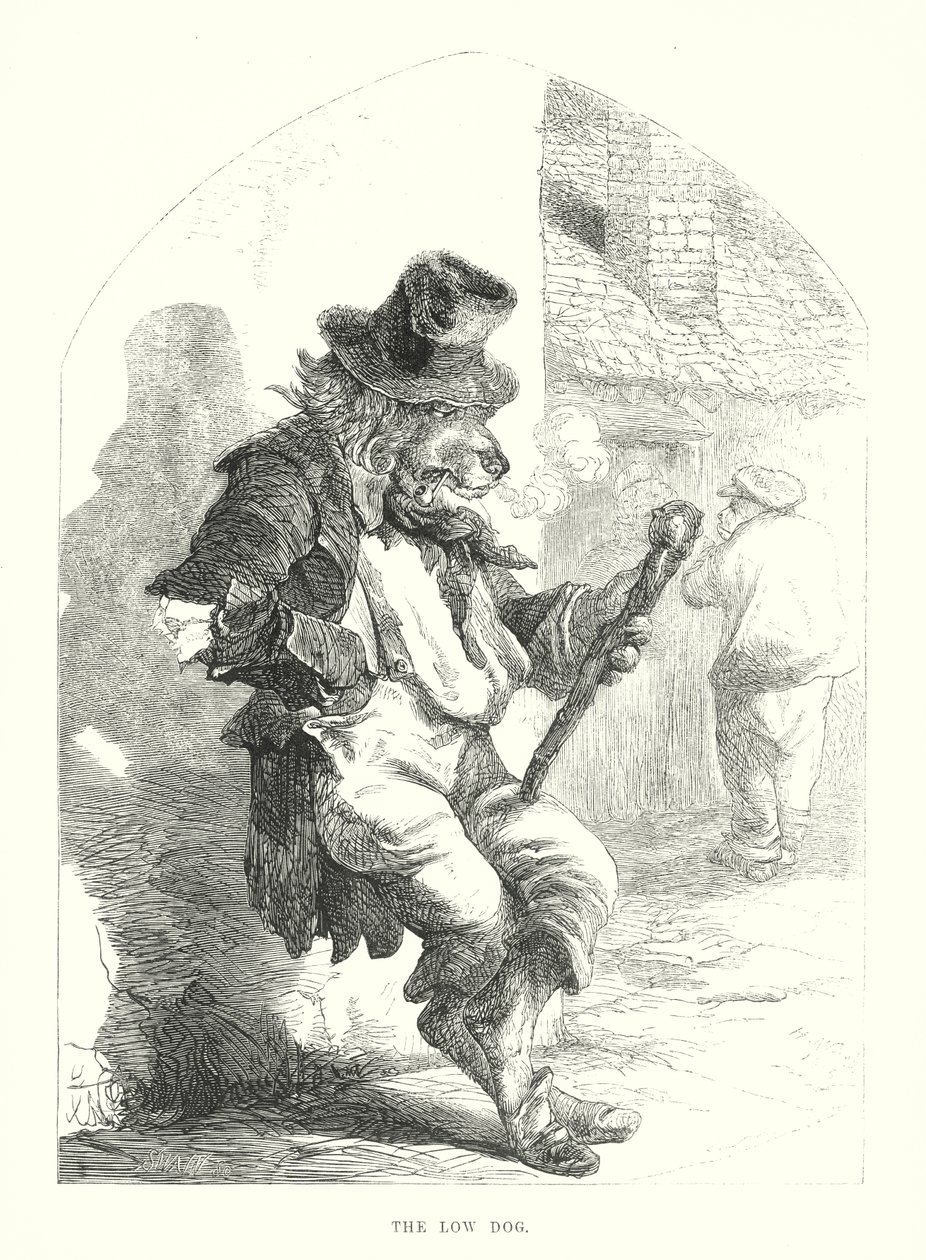 Lustige Hunde: Der niedrige Hund von Harrison William Weir