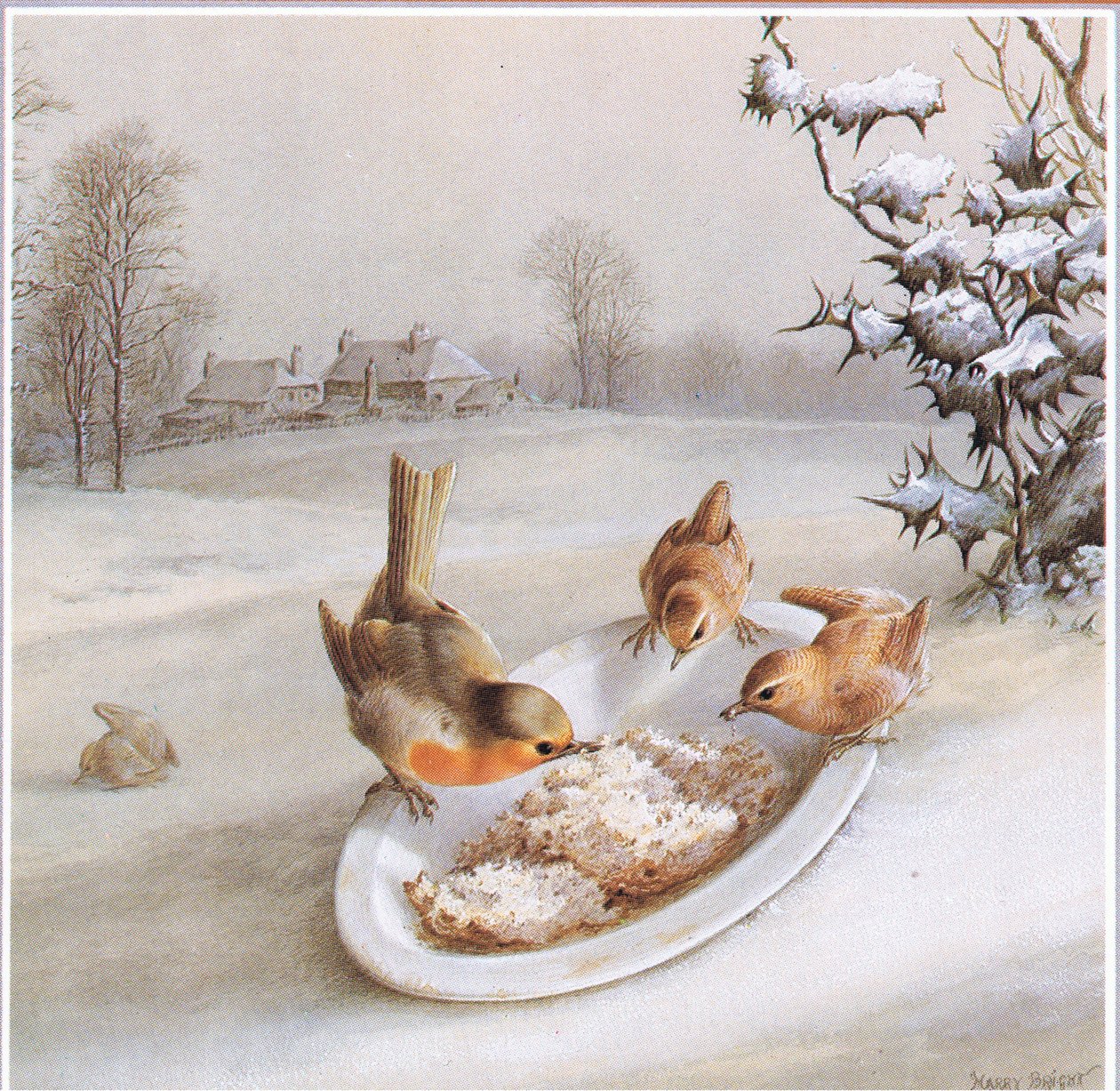 Rotkehlchen und Zaunkönige: Winterfrühstück, Postkarte von Harry Bright