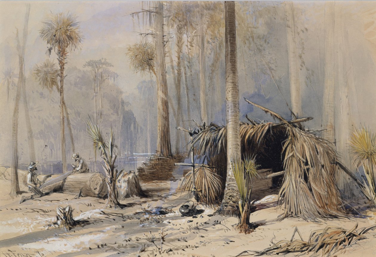 Der Zypressen-Schindelhof, Ocklawaha River, Florida, 1870 von Harry Fenn