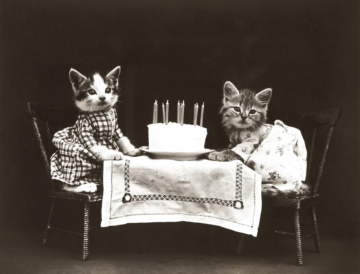 Kätzchen-Serie: Geburtstagsfeier, ca. 1914 von Harry Whittier Frees
