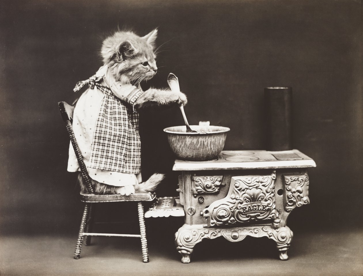 Kitties Serie: Koch am Herd, um 1914 von Harry Whittier Frees