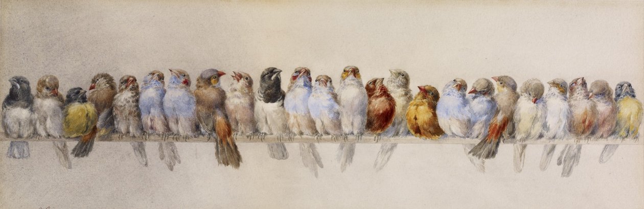 Ein Schwarm Vögel, ca. 1880 von Hector Giacomelli