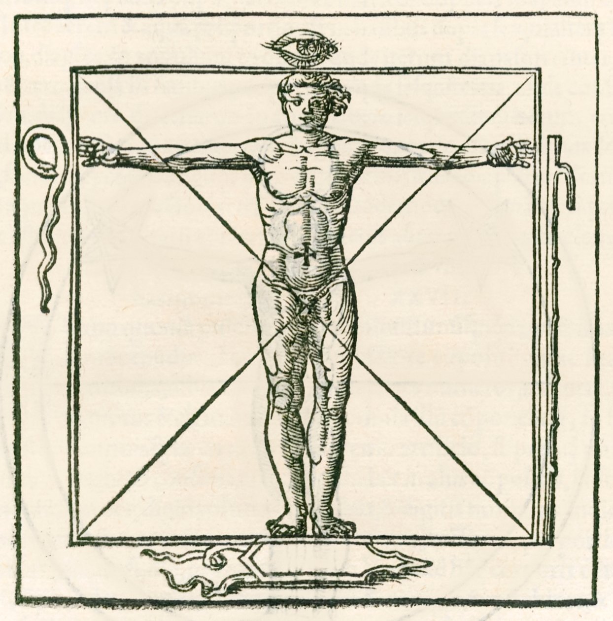 Mann in einem Quadrat umgeben von Symbolen des Auges, der Schlange, des siebenfachen Stabs und des Schildes. Gravur aus Heinrich Cornelius Agrippa von Nettesheim (1486-1535) De occulta philosophia libri tres von Heinrich Cornelius Agrippa von Nettesheim