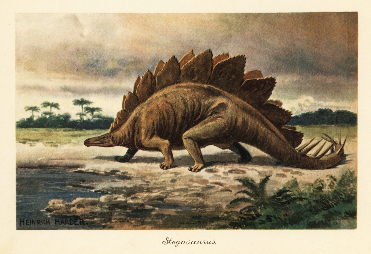 Stegosaurus armatus aus dem späten Jura von Heinrich Harder