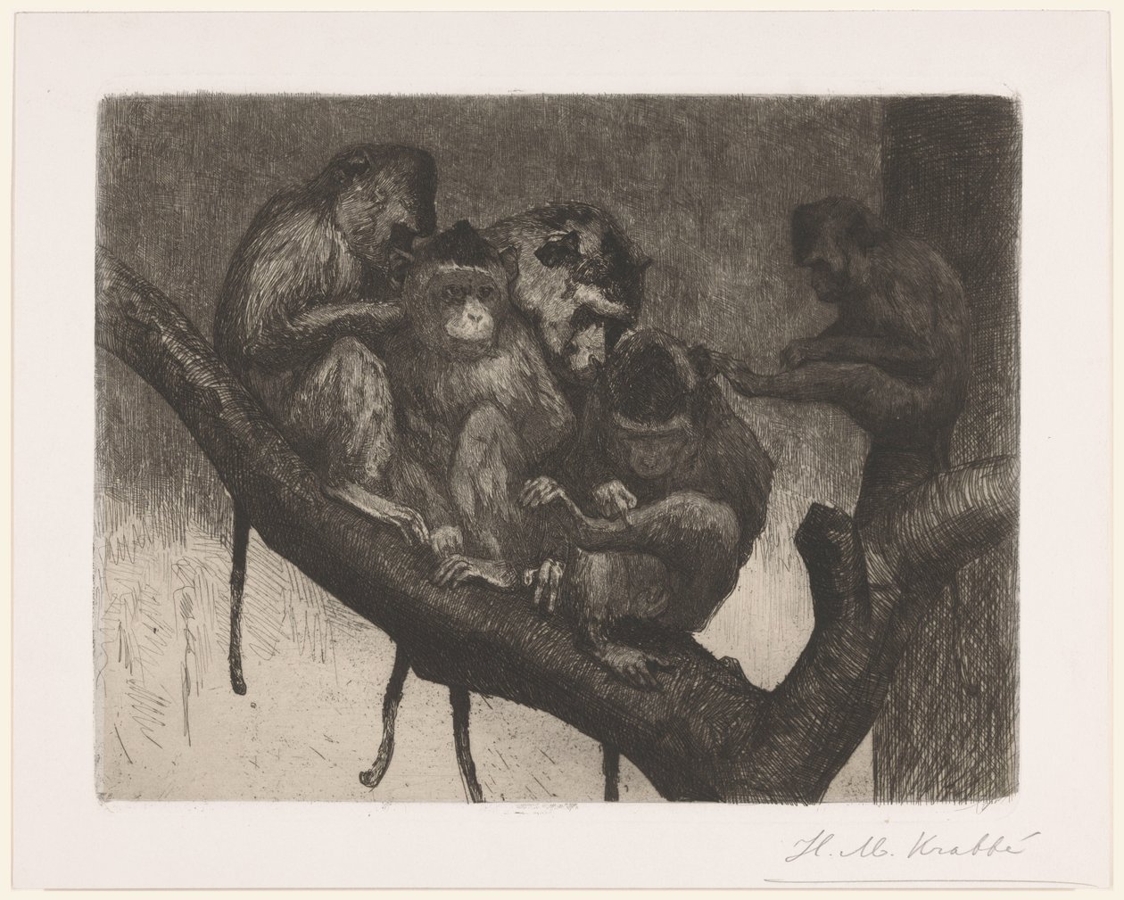 Fünf Affen in einem Baum von Heinrich M. Krabbé (signed by artist)