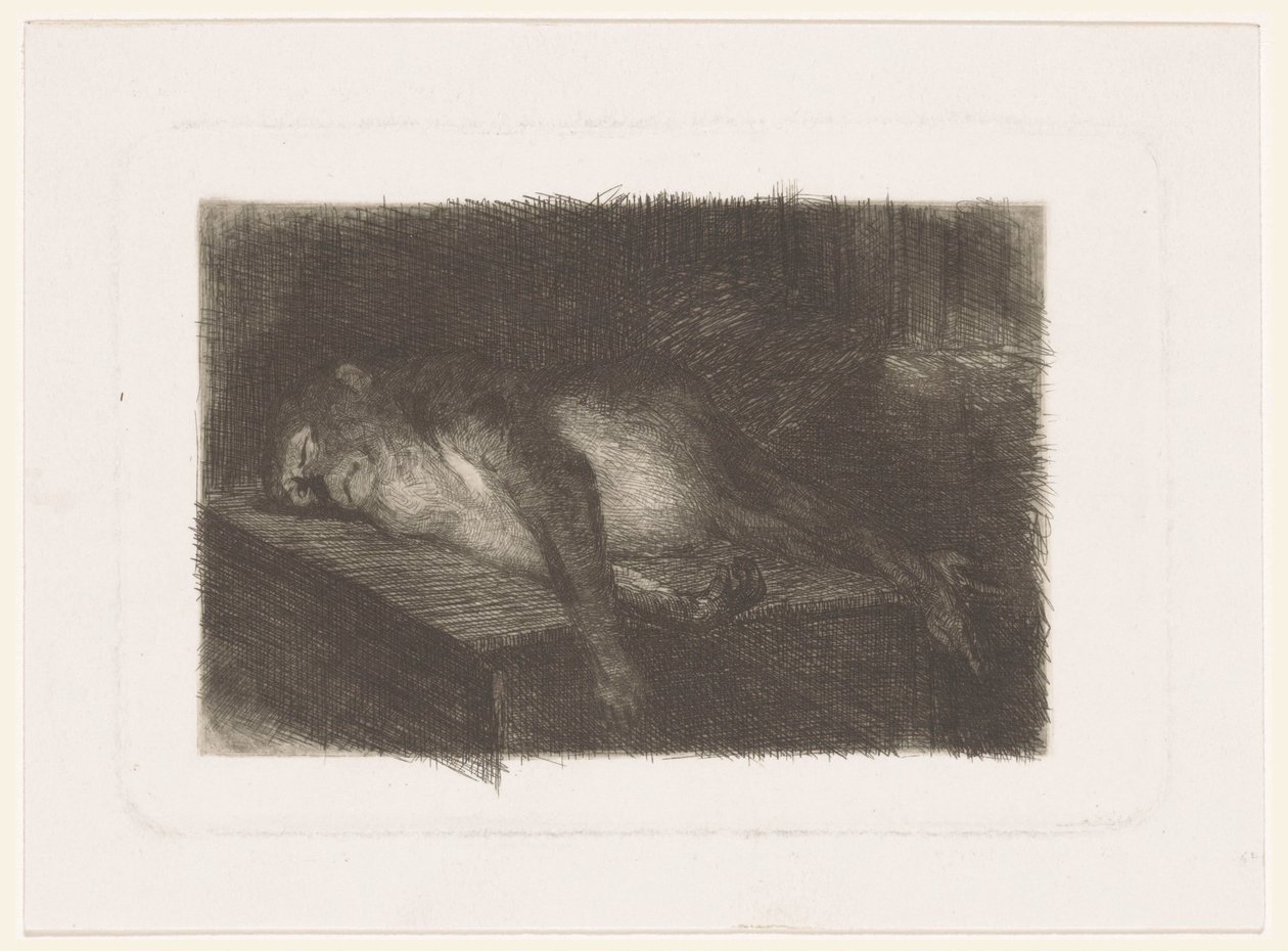 Liegender, schlafender Affe von Heinrich M. Krabbé