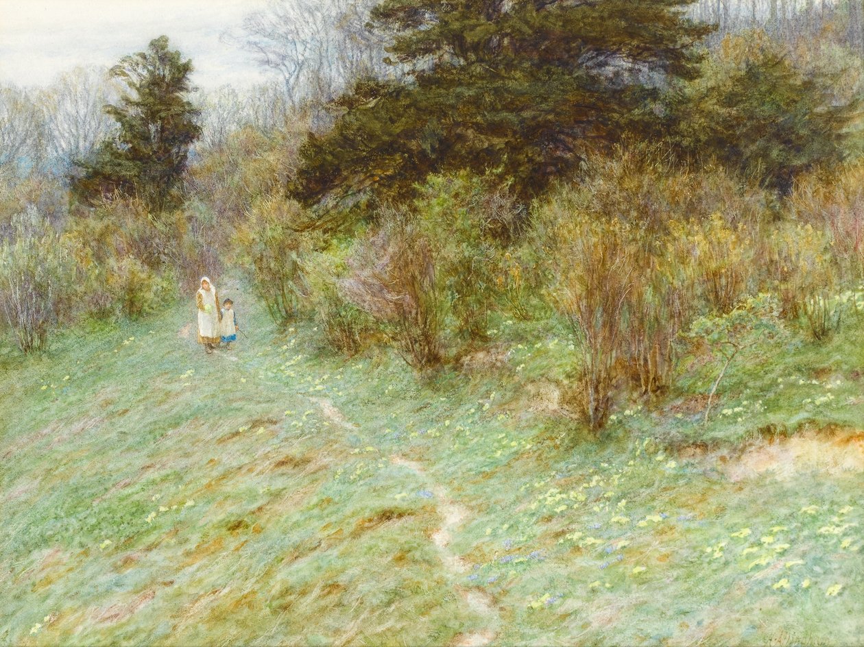 Primeln auf einer Heide in Surrey von Helen Allingham