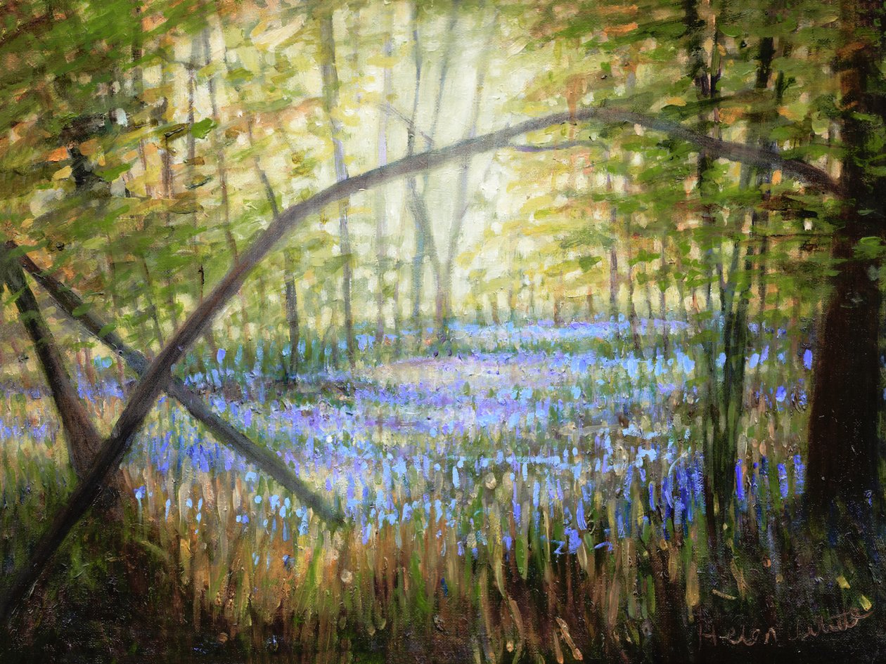 Blaue Glockenblumenlichtung, 2024 von Helen White