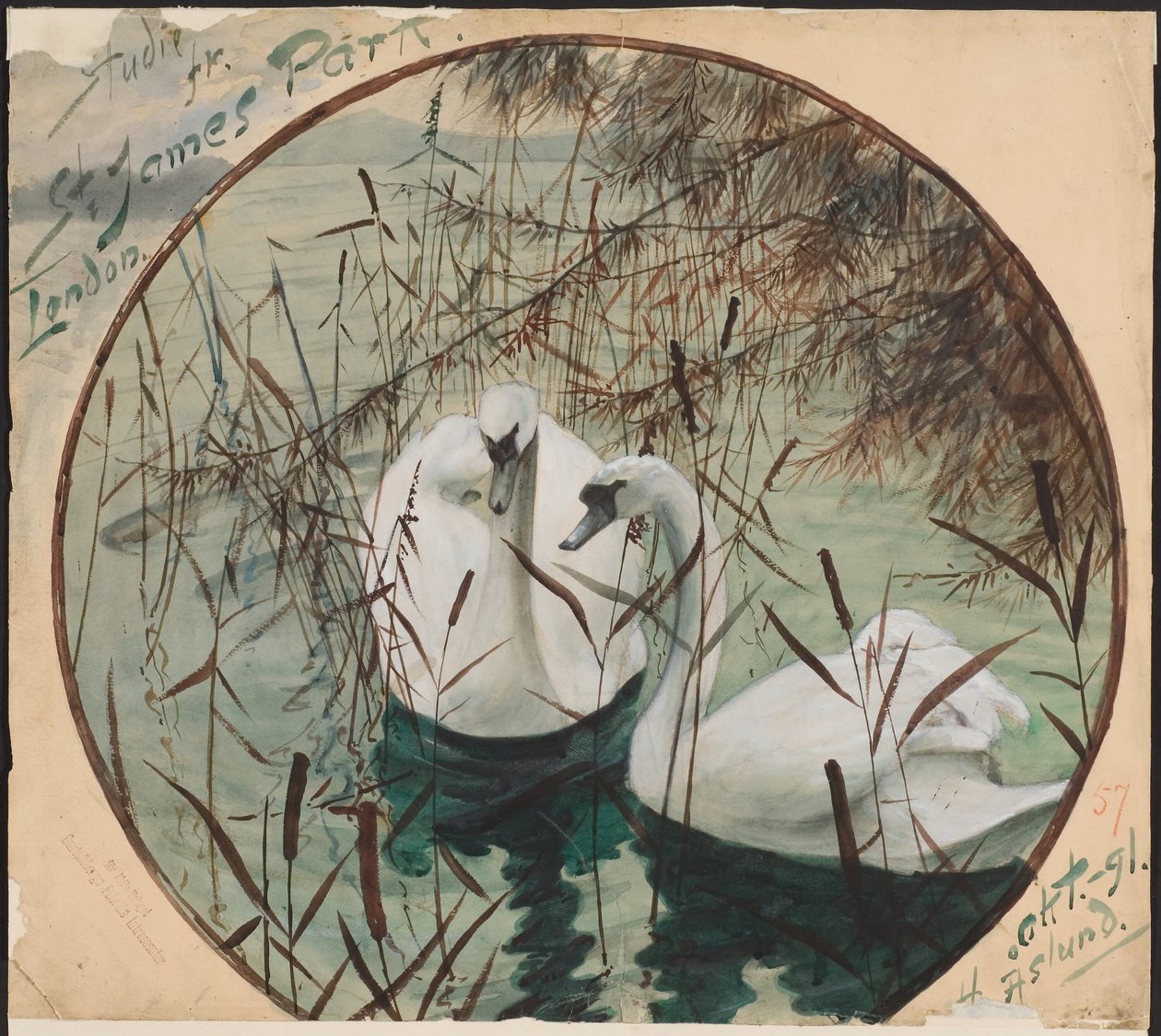 Schwäne im Teich von Helmer Osslund