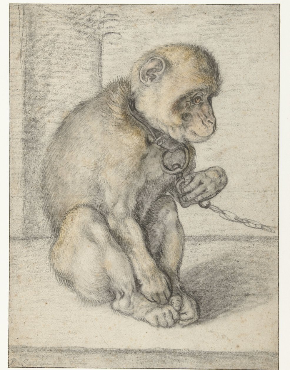 Sitzender Affe an einer Kette von Hendrick Goltzius
