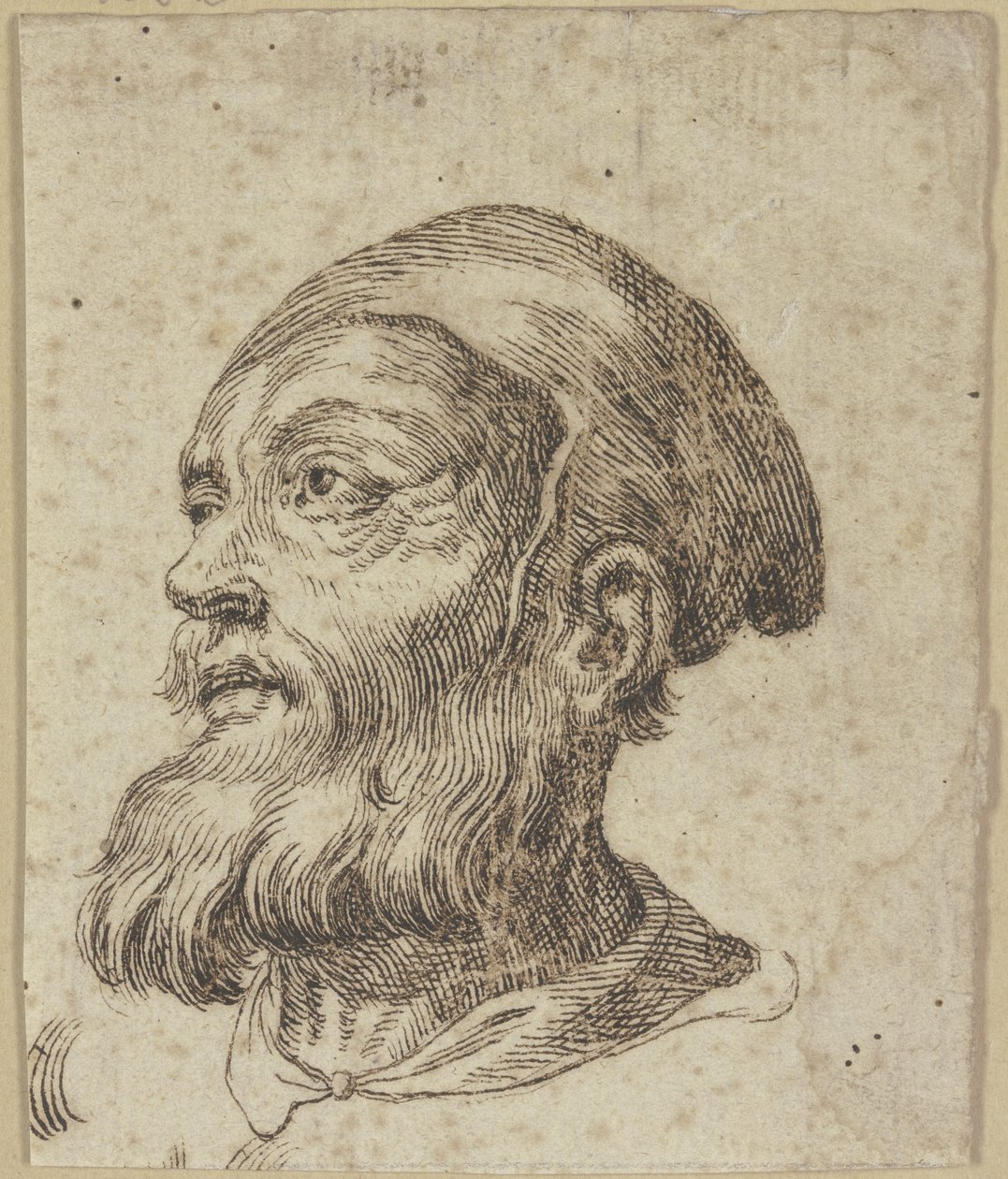 Kopf eines alten Mannes im Dreiviertelprofil nach links von Hendrick Goltzius