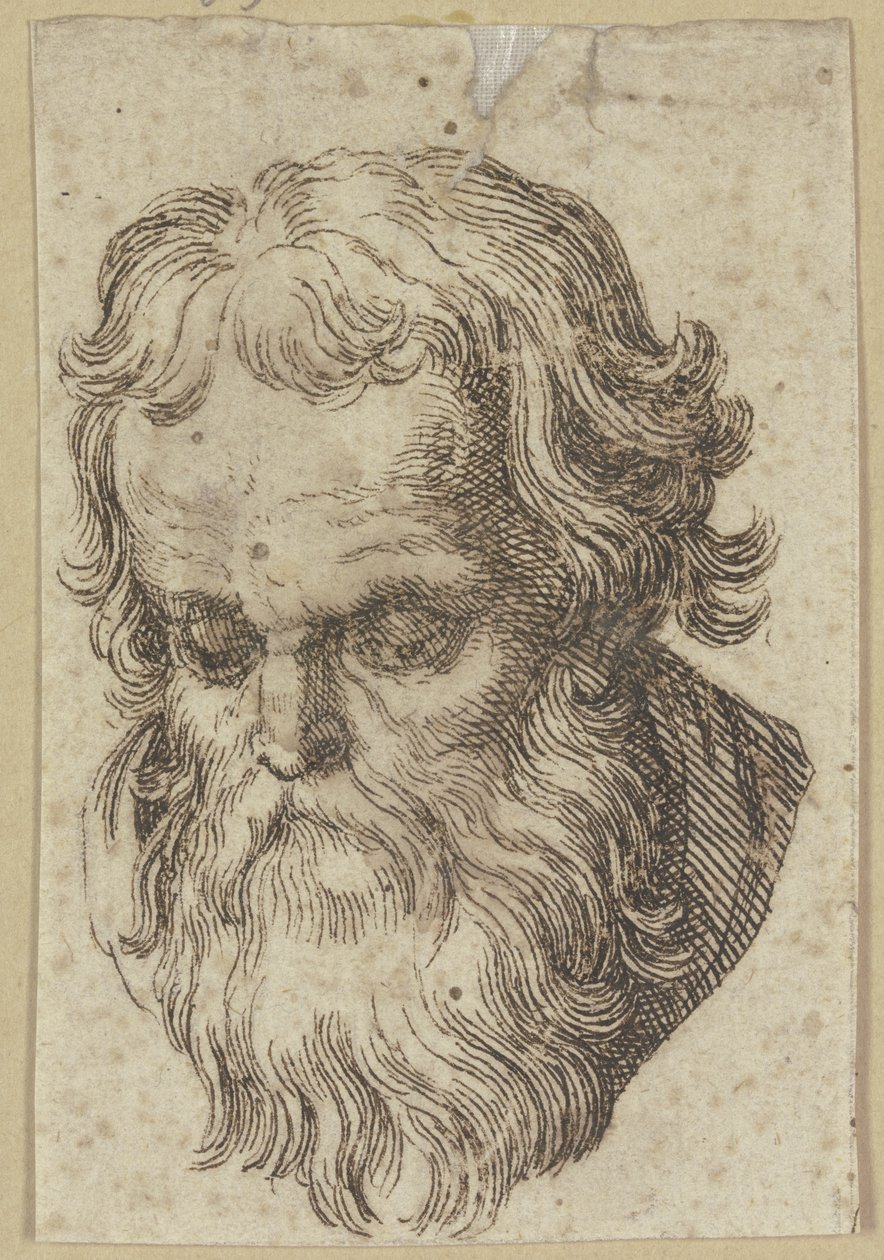 Kopf eines bärtigen Mannes, nach vorn gebeugt von Hendrick Goltzius