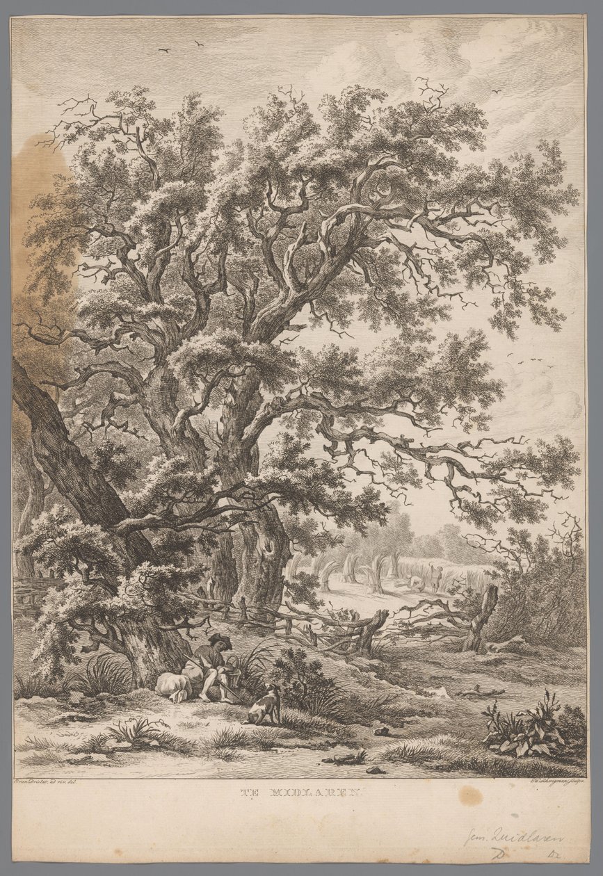 Landschaft mit einem Mann und Hund unter einem Baum bei Midlaren von Hendrik Schwegman