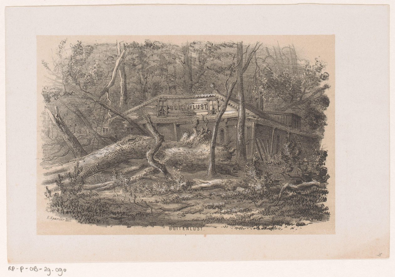 Umgestürzter Baum bei Buitenlust, nach dem Sturm vom 28. Mai 1860 Album von zehn lithographierten Skizzen, darstellend Szenen der Verwüstung, verursacht durch den Sturm vom 28. Mai 1860 im Haagse Bos von Hendrik Wilhelmus Last