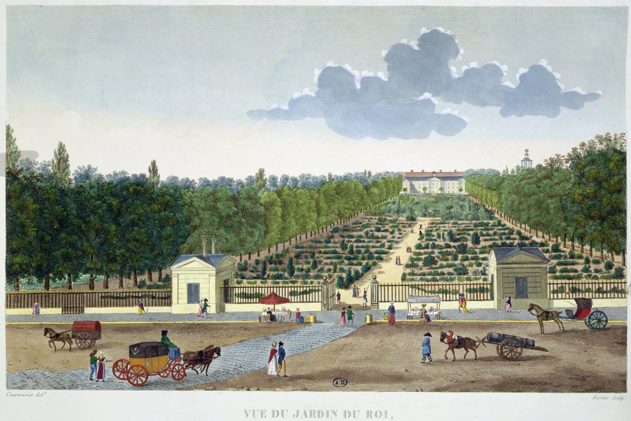 Blick auf den Jardin du Roi in Paris von der Brücke von Austerlitz, graviert von Claude Fortier (1775-1835) von Henri (after) Courvoisier Voisin