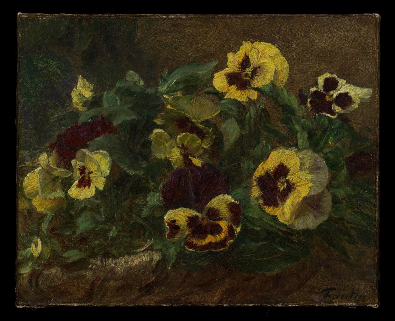 Stiefmütterchen von Henri Fantin-Latour