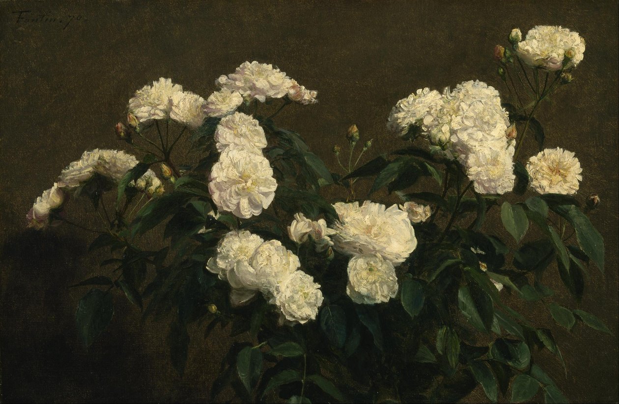 Stillleben mit weißen Rosen von Henri Fantin-Latour
