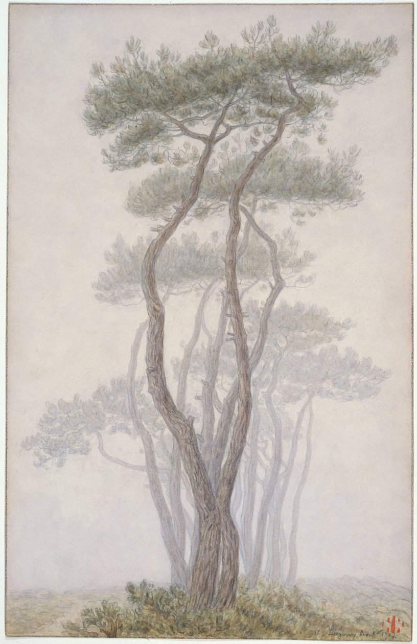 Loguivy, Bäume von Henri Rivière