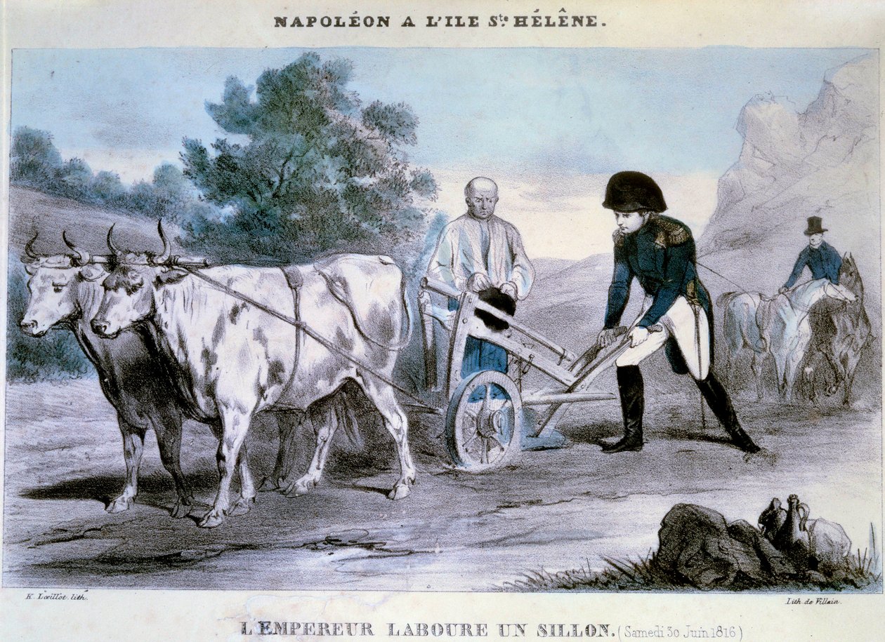 Napoleon I. auf St. Helena: Der Kaiser pflügt eine Furche (30.06.1816) von Henri Villain