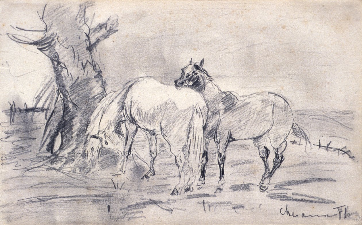 Pferde von Henri de Toulouse-Lautrec