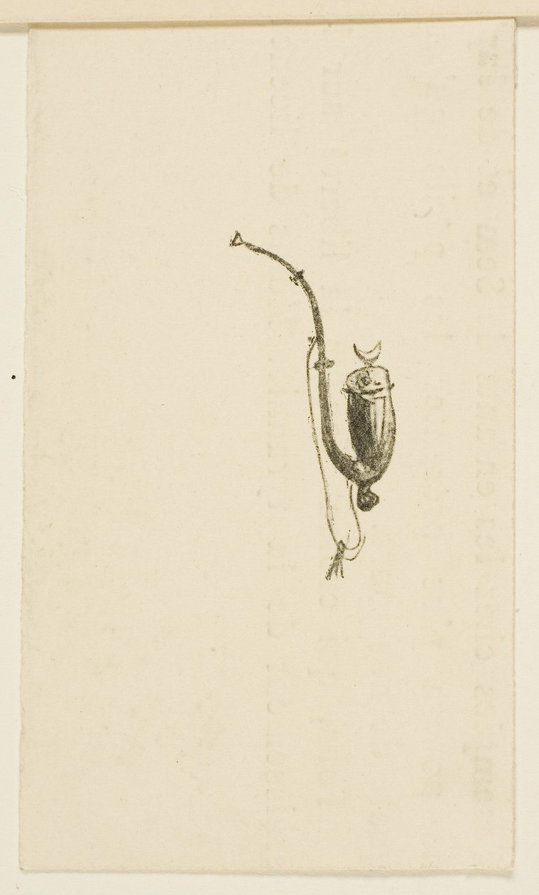 Vignette aus Au Pied du Sinaï von Henri de Toulouse-Lautrec