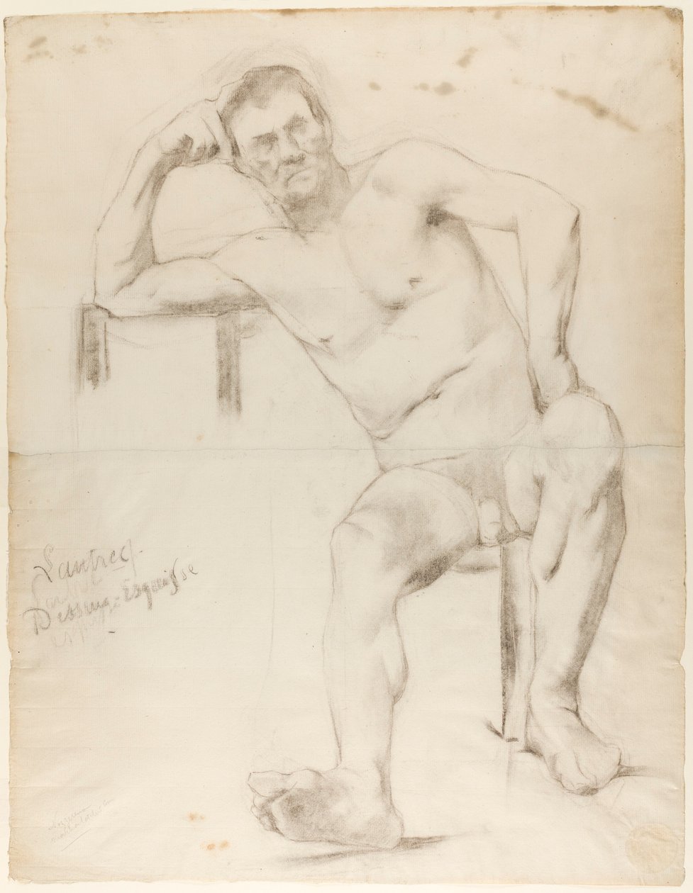 Das Modell Nizzavena von Henri de Toulouse-Lautrec