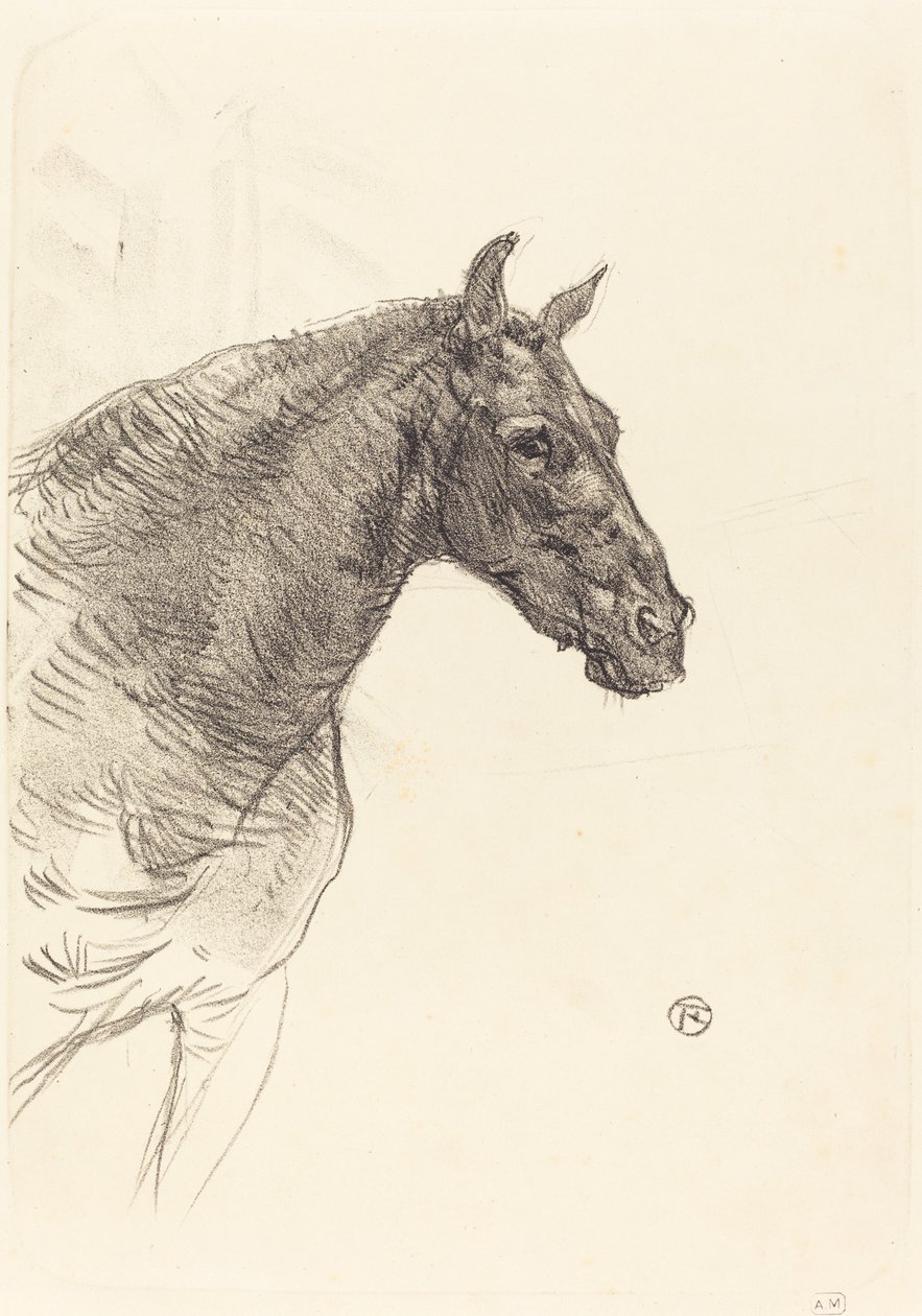 Das alte Pferd von Henri de Toulouse Lautrec