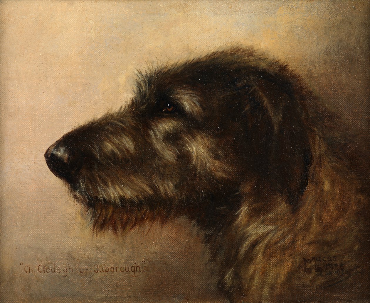 Champion Clodagh von Ouborough, ein Irischer Wolfshund von Henry Frederick Lucas Lucas