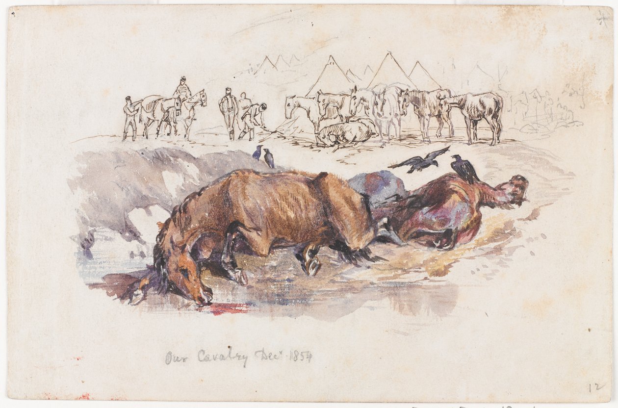 Unsere Kavallerie, tote Pferde von Henry John Wilkinson