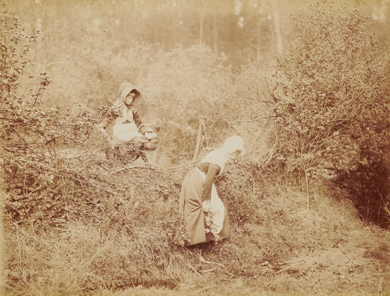 Über Hecke und Graben von Henry Peach Robinson