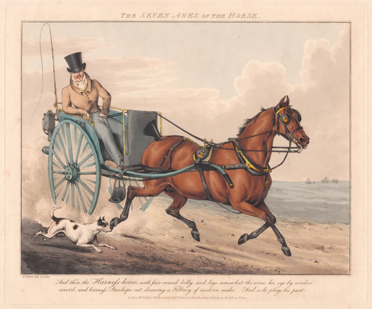 Satz von sieben: Die sieben Lebensalter des Pferdes von Henry Thomas Alken