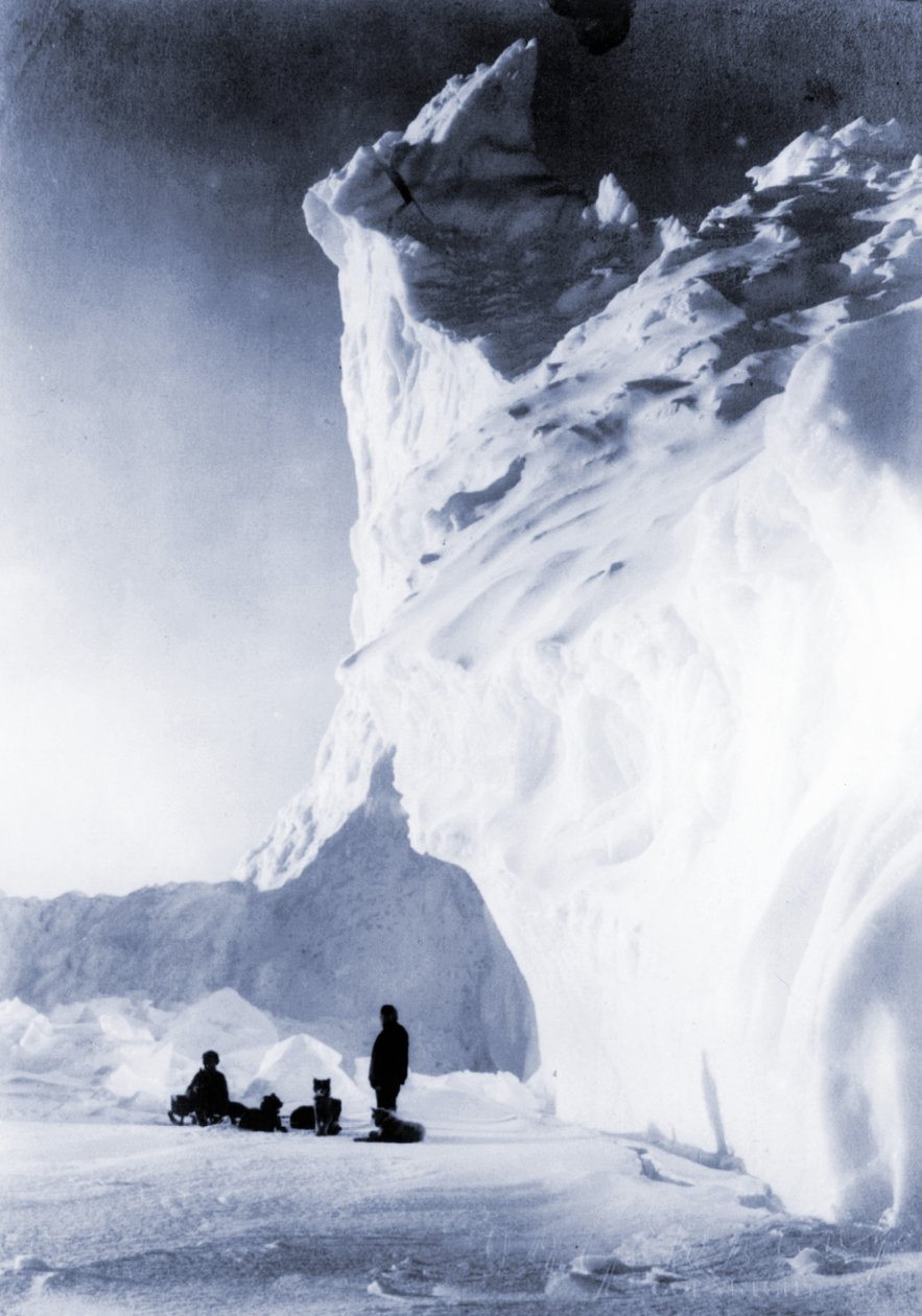 Hundeteam ruht während der Terra Nova Expedition, 1910 von Herbert Ponting