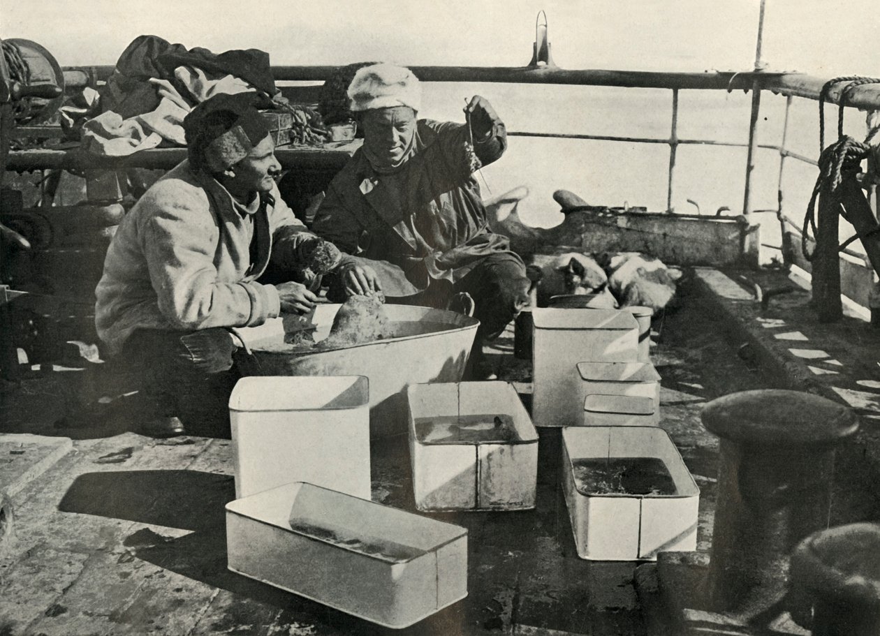 Lillie und Dr. Levick sortieren einen Schleppnetzfang, ca. 1910-1913, 1913 von Herbert Ponting