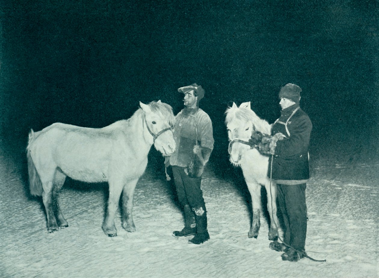 Unteroffiziere Crean und Evans trainieren ihre Ponys im Winter, 1911 von Herbert Ponting