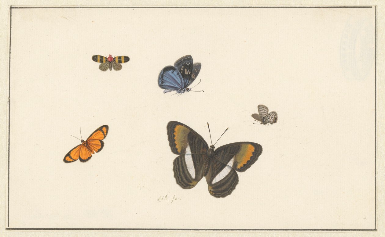 Fünf Schmetterlinge von Herman Henstenburgh