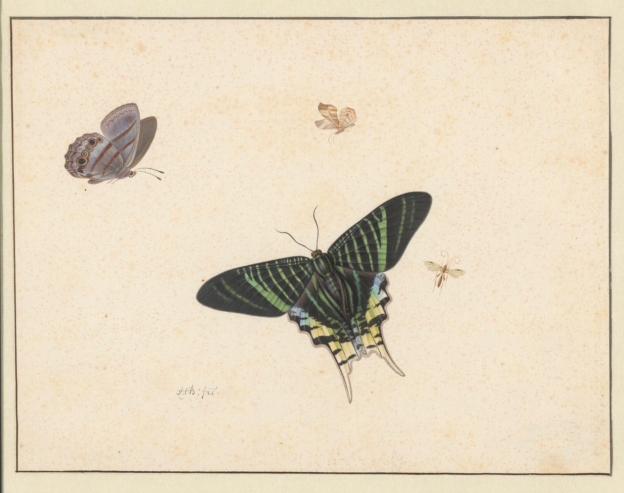 Drei Schmetterlinge und eine Wespe oder Fliege von Herman Henstenburgh