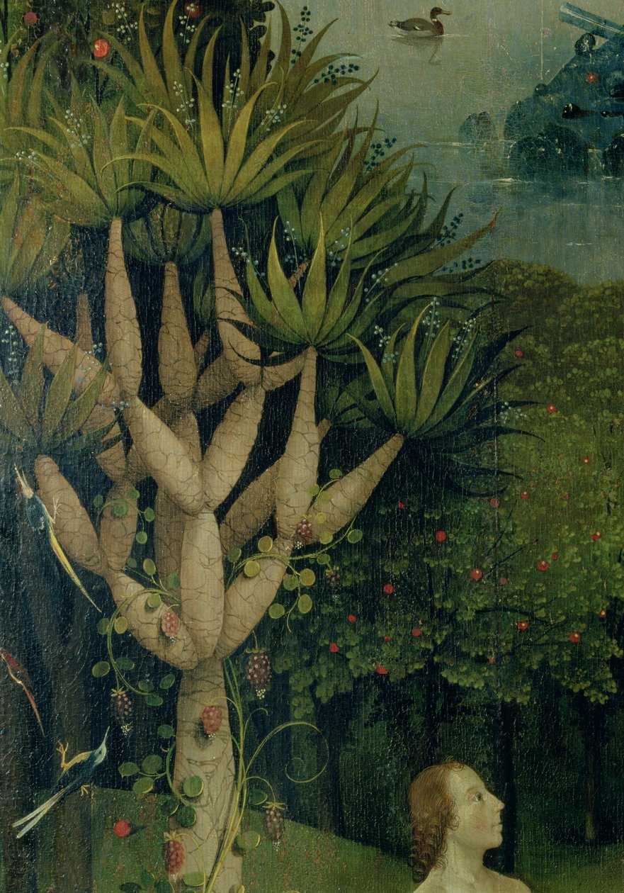 Der Baum der Erkenntnis von Gut und Böse, Detail vom rechten Panel des Gartens der Lüste, ca. 1500 von Hieronymus Bosch
