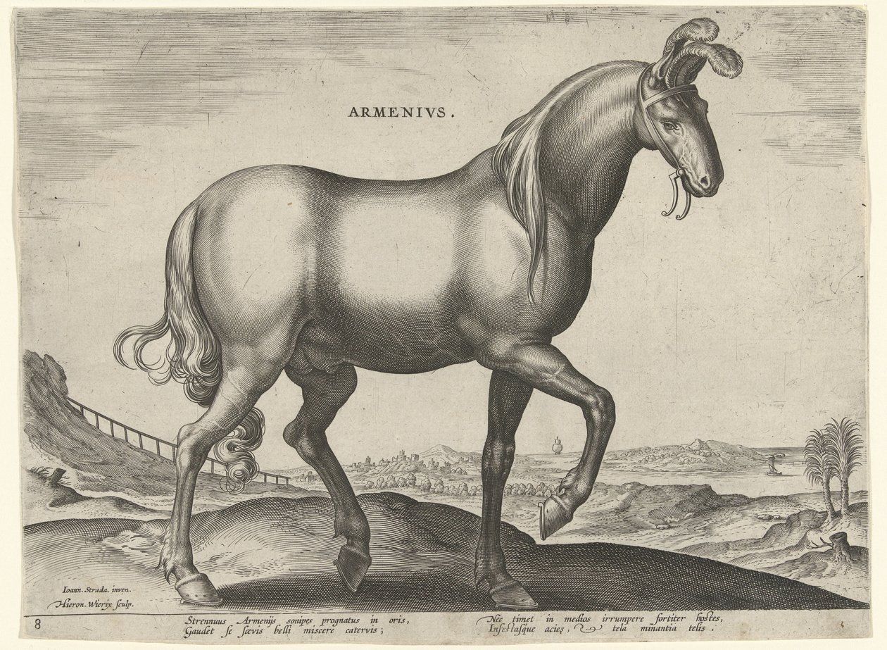Pferd aus Armenien von Hieronymus Wierix