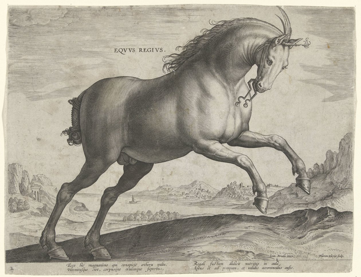 Pferd der Rasse Equus Regius (der Königliche) von Hieronymus Wierix