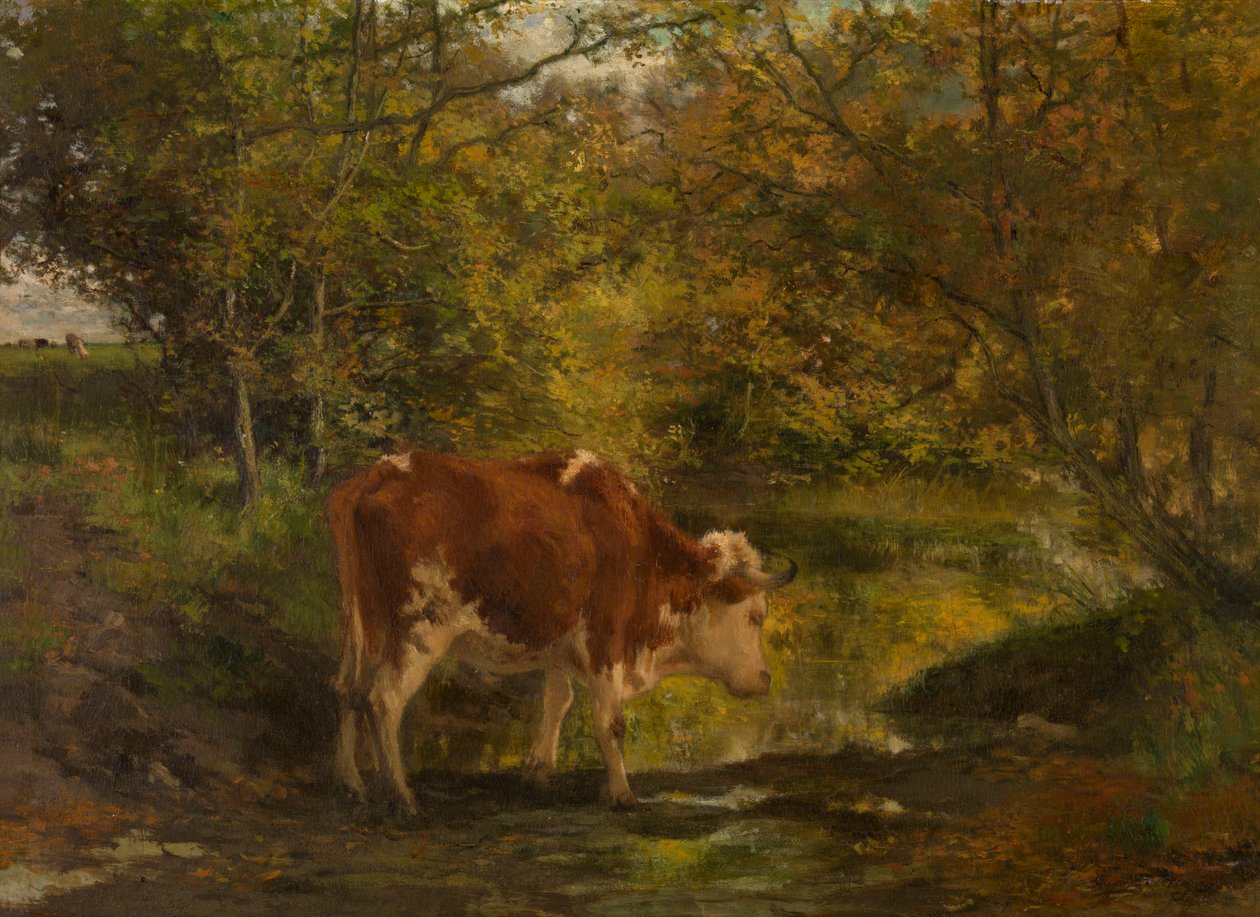 Kuh am Graben von Hippolyte Boulenger
