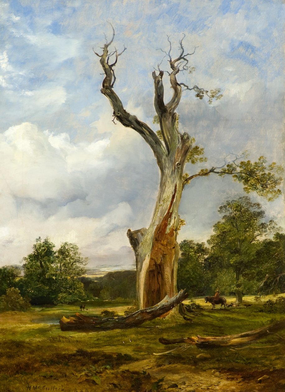 Der zerstörte Baum, ca. 1838 von Horatio McCulloch