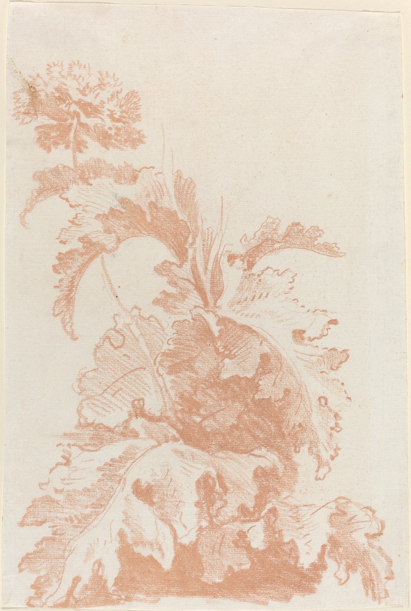 Blühender Mohn von I Jean Baptiste Hüet